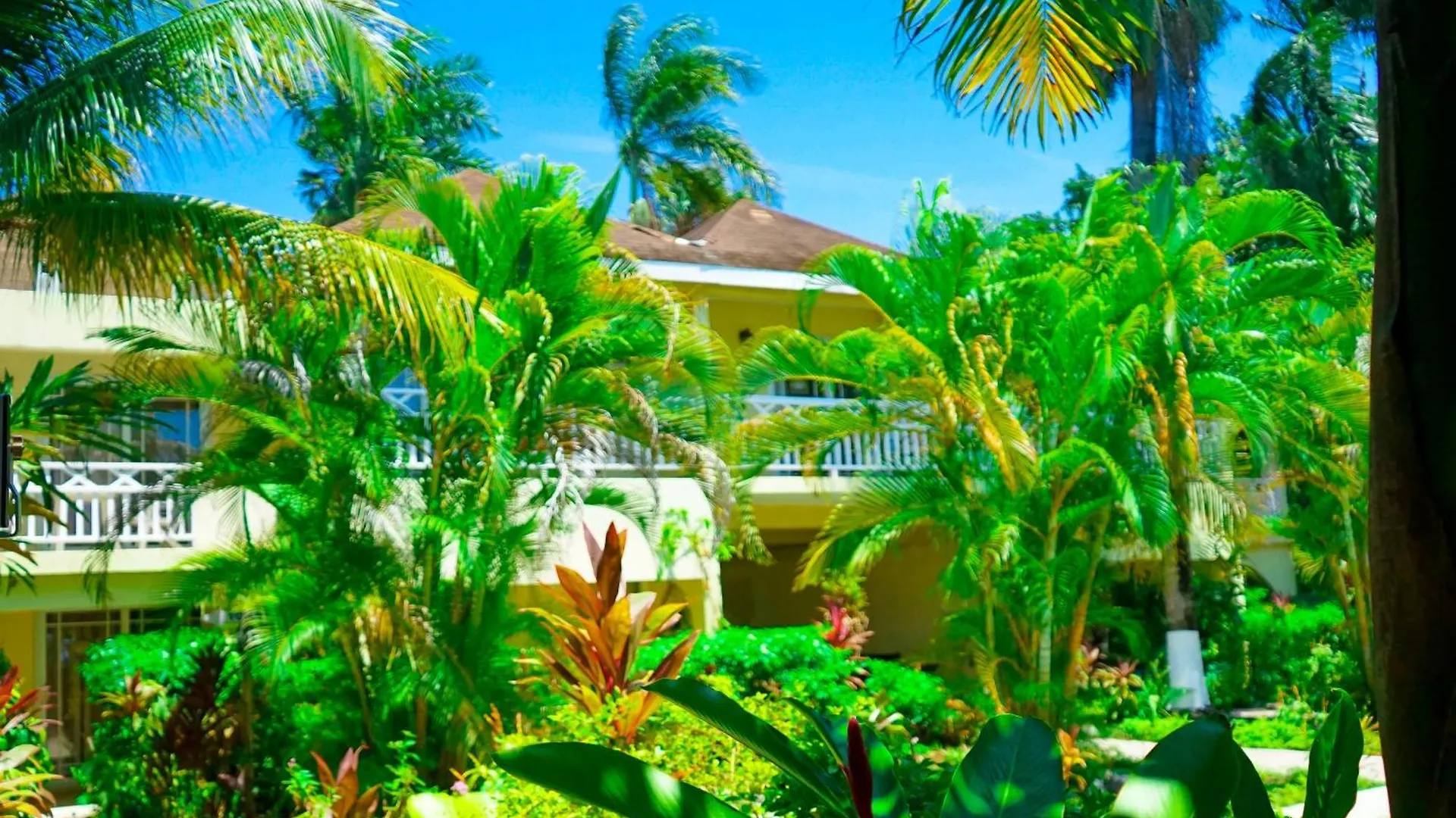 **  Ayurveda Resort Negril Jamaica